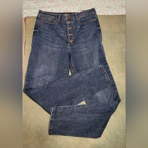 Dark Wash Denim Jeans Size 31/12 Womens